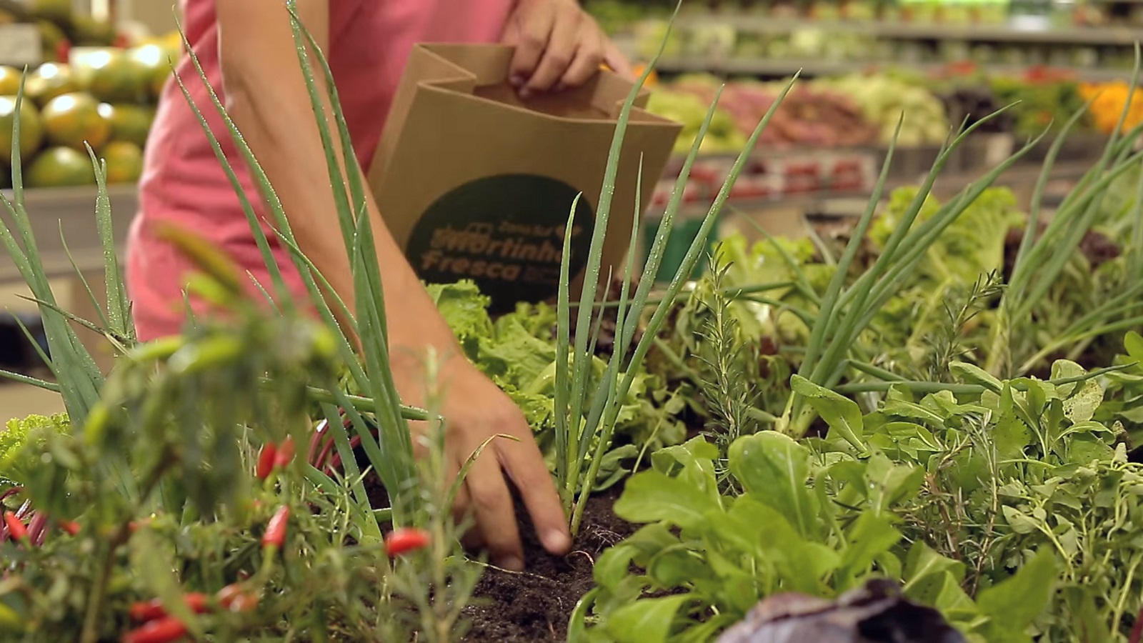 Zona Sul: Fresh Garden in Supermarkets