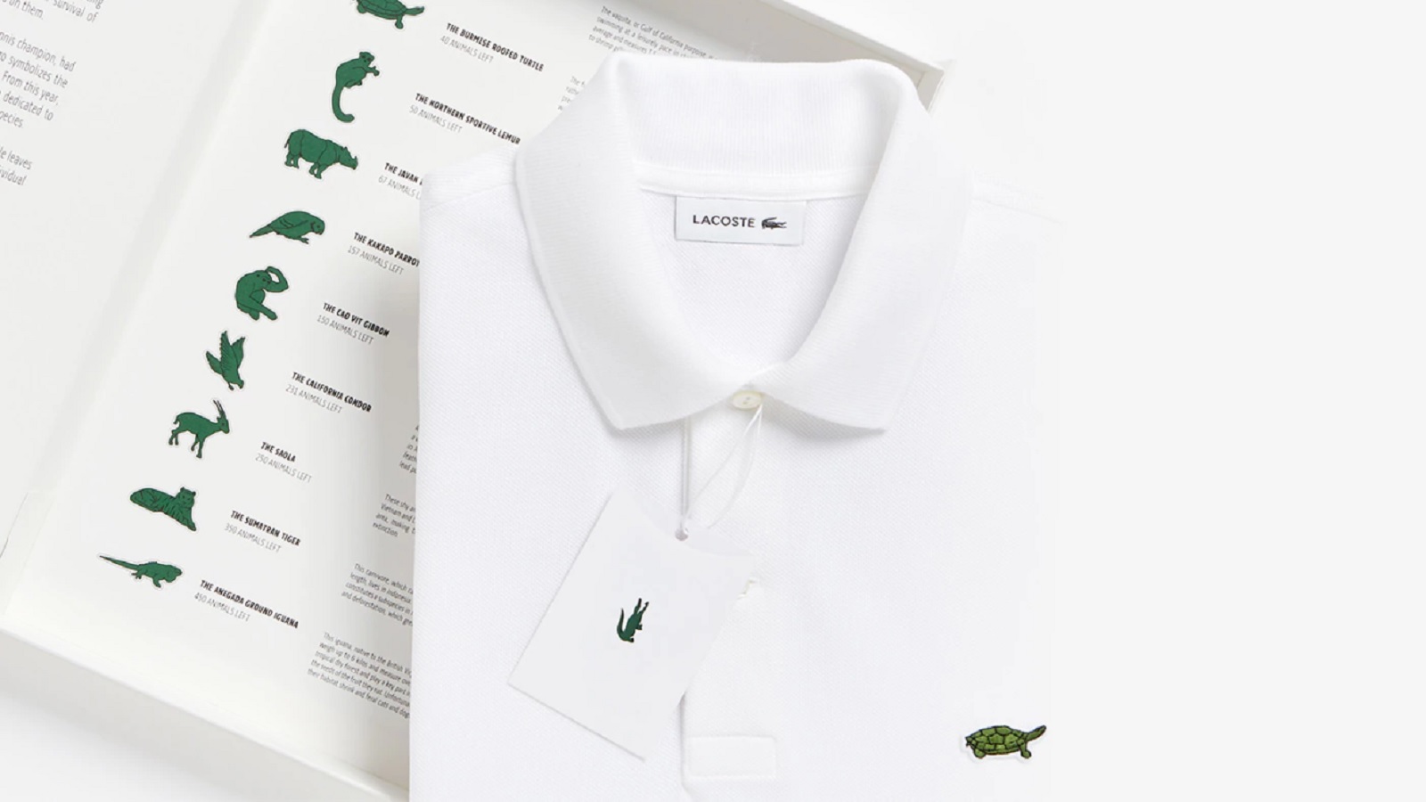 lacoste clothing line
